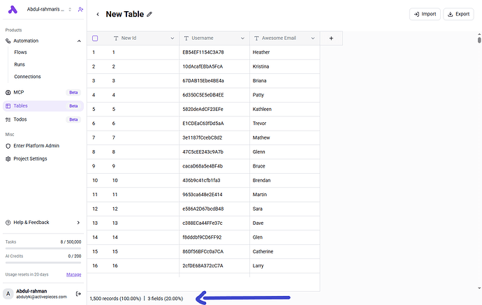 cloud.activepieces.com_projects_Sc9YMLLnECm8w4HmsMyx5_tables_eyR9tVjWaYCcKMcNVDfcn(laptop) (1)